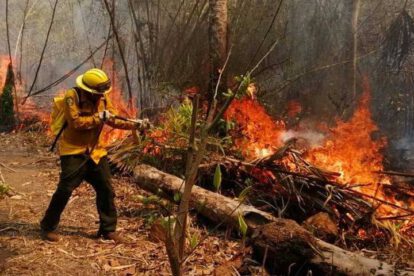 Incendios forestales en Santa Cruz