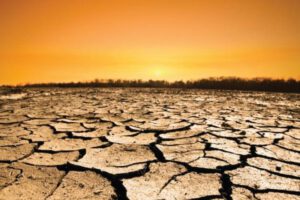 Cambio climático: consecuencias irreversibles según informe de la ONU