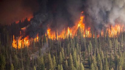 Incendios forestales en Siberia