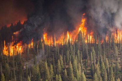Incendios forestales en Siberia
