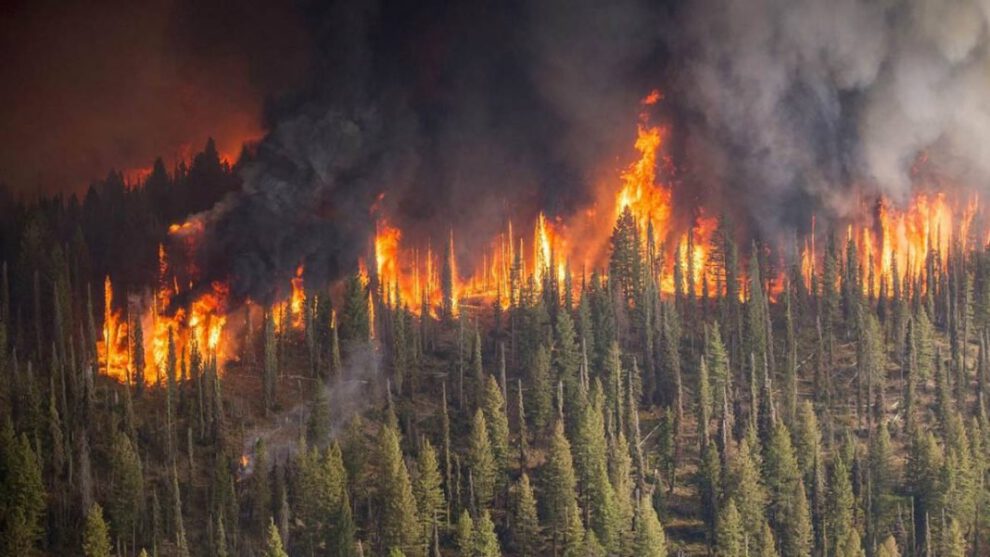 Incendios forestales en Siberia