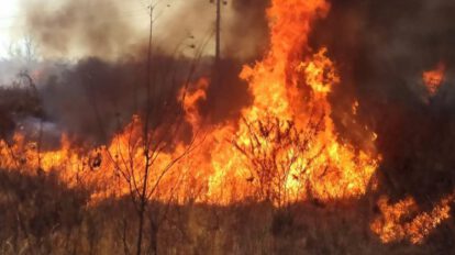 Incendios forestales en Santa Cruz