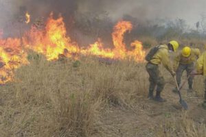 Incendios en Santa Cruz