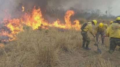 Incendios en Santa Cruz
