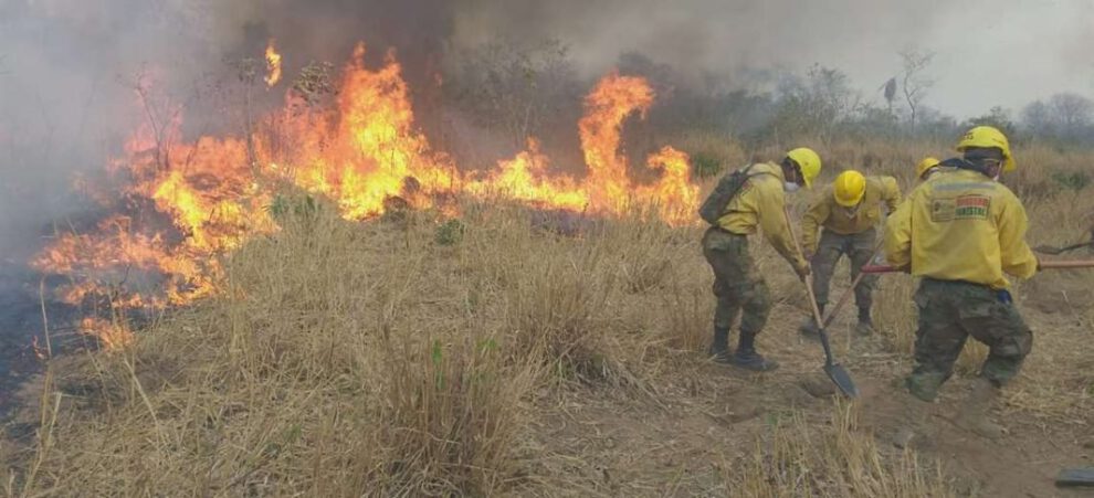 Incendios en Santa Cruz