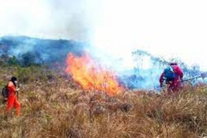 Incendios en Santa Cruz