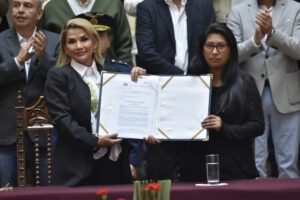 Ley de Régimen Excepcional y Transitorio promulgada por Jeanine Áñez para nuevas elecciones