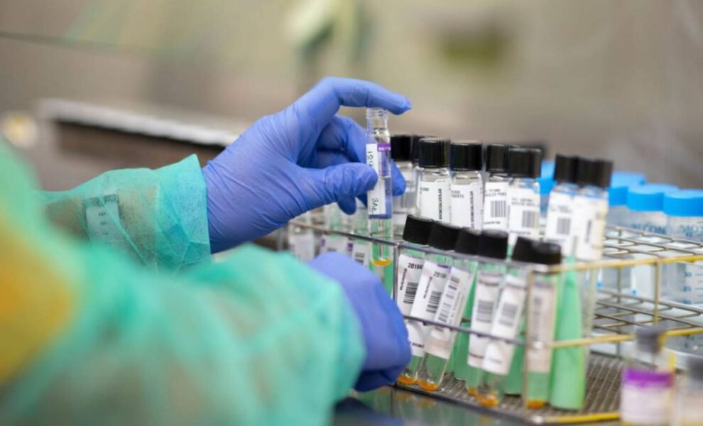 Viales de vacunas contra el coronavirus