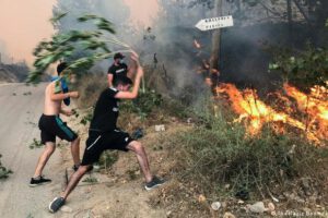Incendios forestales en Argelia