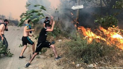 Incendios forestales en Argelia