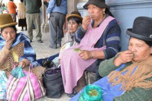 Censo 2022 y consumo de coca en Bolivia