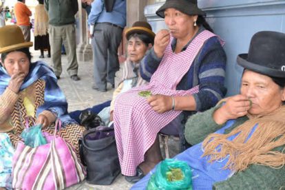 Censo 2022 y consumo de coca en Bolivia