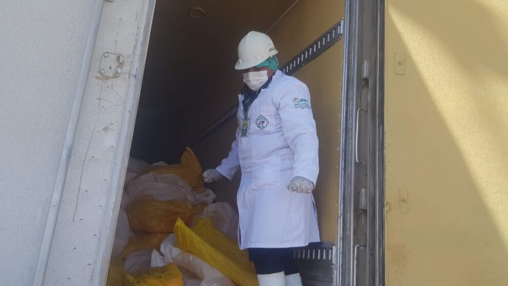 27 toneladas de pollo llegaron a Oruro por vía aérea