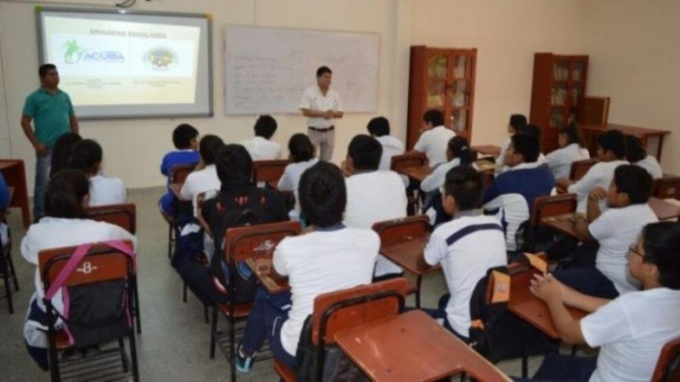 Encuesta regreso escolares Tarija