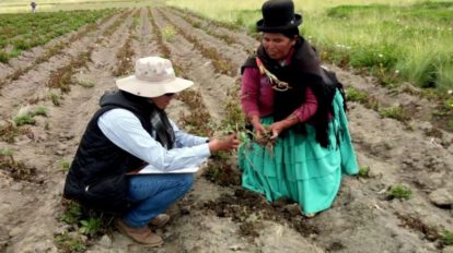Oruro desastre heladas sequía