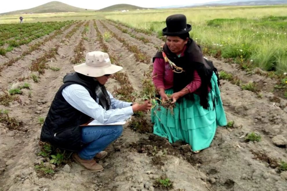 Oruro desastre heladas sequía