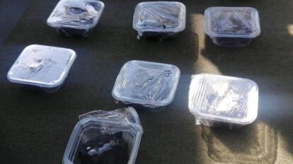 Brownies mágicos elaborados con marihuana