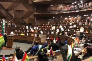 Denuncia a asambleístas del MAS por faltas al decoro