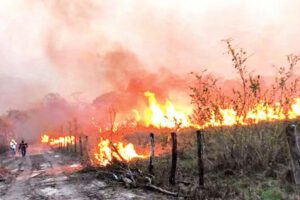 Incendios en la Chiquitanía