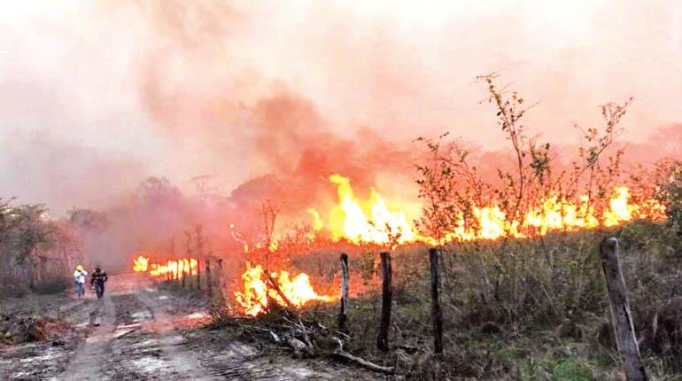 Incendios en la Chiquitanía