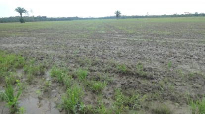 Interpelación al INRA sobre el manejo de tierras