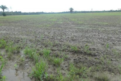 Interpelación al INRA sobre el manejo de tierras