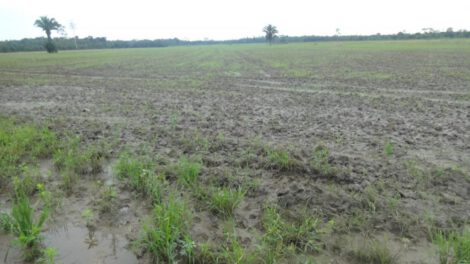 Interpelación al INRA sobre el manejo de tierras