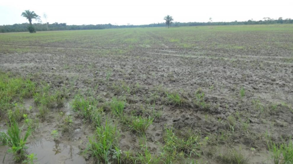 Interpelación al INRA sobre el manejo de tierras