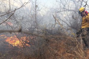 Incendios en Roboré y San Matías