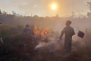 Incendios en Santa Cruz afectando más de 223 mil hectáreas
