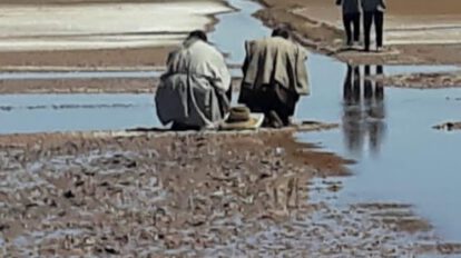Urus claman por agua en el lago Poopó