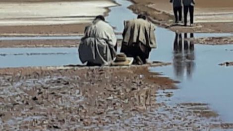 Urus claman por agua en el lago Poopó