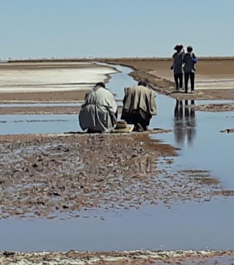 Urus claman por agua en el lago Poopó