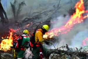 Incendios forestales en San José de Chiquitos