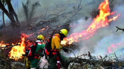 Incendios forestales en San José de Chiquitos