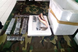 Cocaína escondida en pescados encontrada por la Felcn