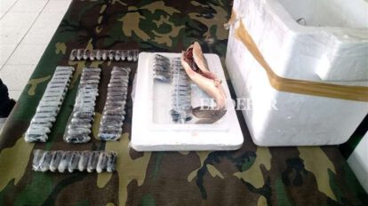 Cocaína escondida en pescados encontrada por la Felcn