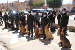 Día de San Roque celebrado con perritos en Oruro
