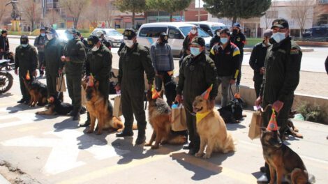 Día de San Roque celebrado con perritos en Oruro