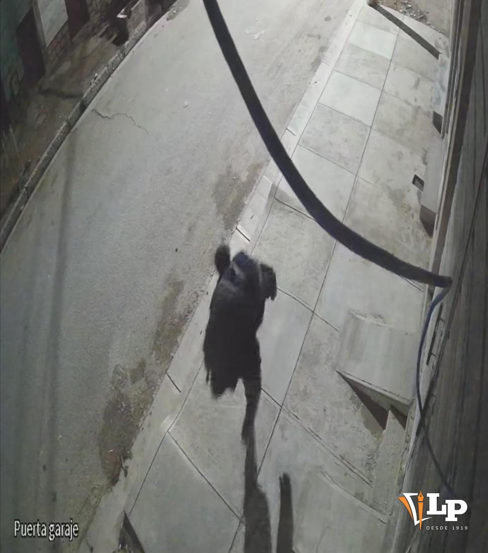 Imagen de la cámara de seguridad