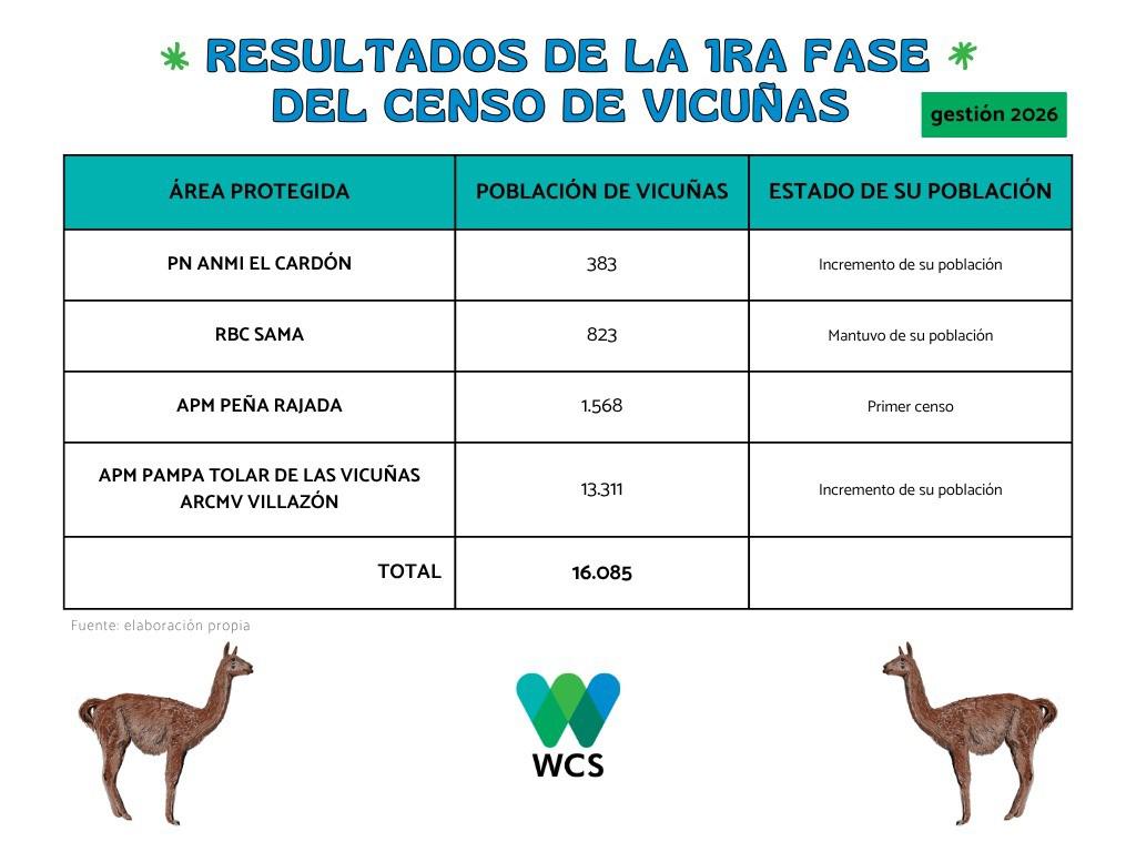 censo vicuñas