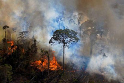 incendio en la Amazonia brasileña