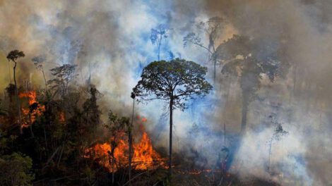 incendio en la Amazonia brasileña