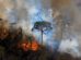 incendio en la Amazonia brasileña