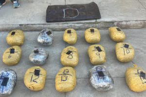 Imagen de la marihuana incautada