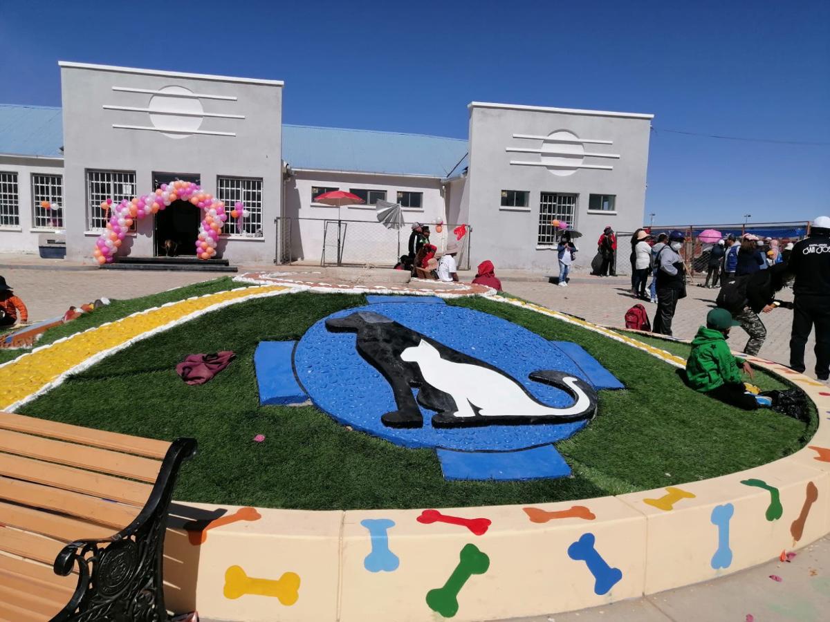 albergue de mascotas
