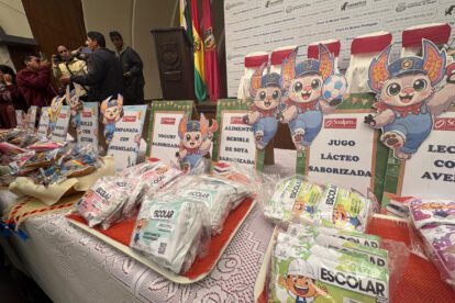 Alimento complementario