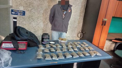 Se incautaron 34 bolsas tipo Ziploc y un recipiente transparente que contenían marihuana