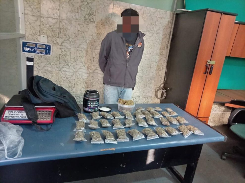 Se incautaron 34 bolsas tipo Ziploc y un recipiente transparente que contenían marihuana
