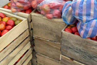 Existe una amplia oferta de tomate en el mercado de Santa Cruz